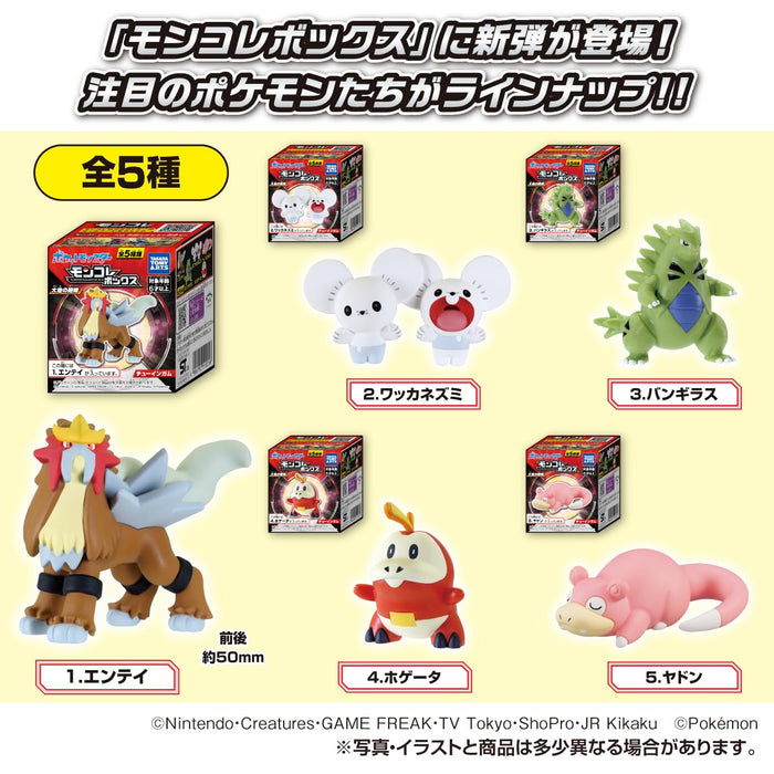 "Pokemon" Monster Collection Box Roar of The Earth