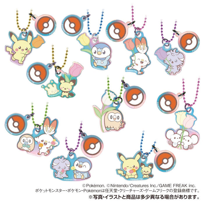 "Pokemon" Pokemon Peaceful Place Twin Charm Rainbow Star