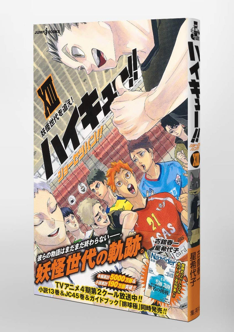 "Haikyu!!" Novel Ver. Vol. 13 Cover: Oikawa (Book)