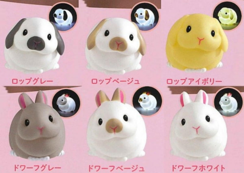 Little Rabbit Light