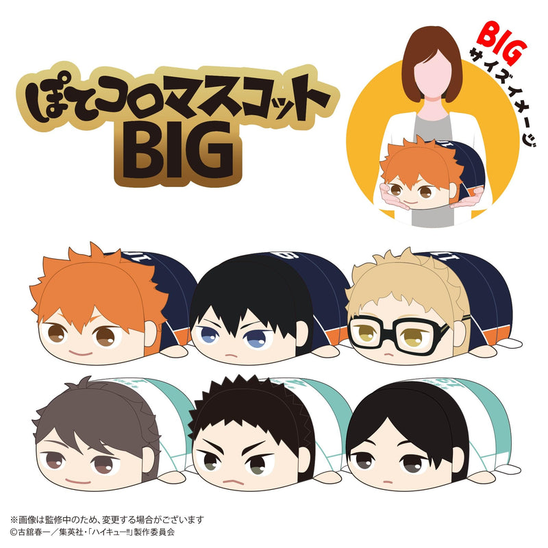 HQ-75 "Haikyu!!" Potekoro Mascot Big A Hinata Shoyo