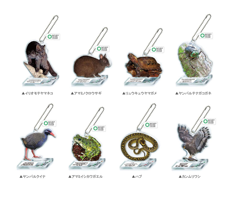 Nature Techni Colour World Natural Heritage Amami Island, Tokunoshima, Northern Okinawa & Iriomote Island Acrylic Mascot