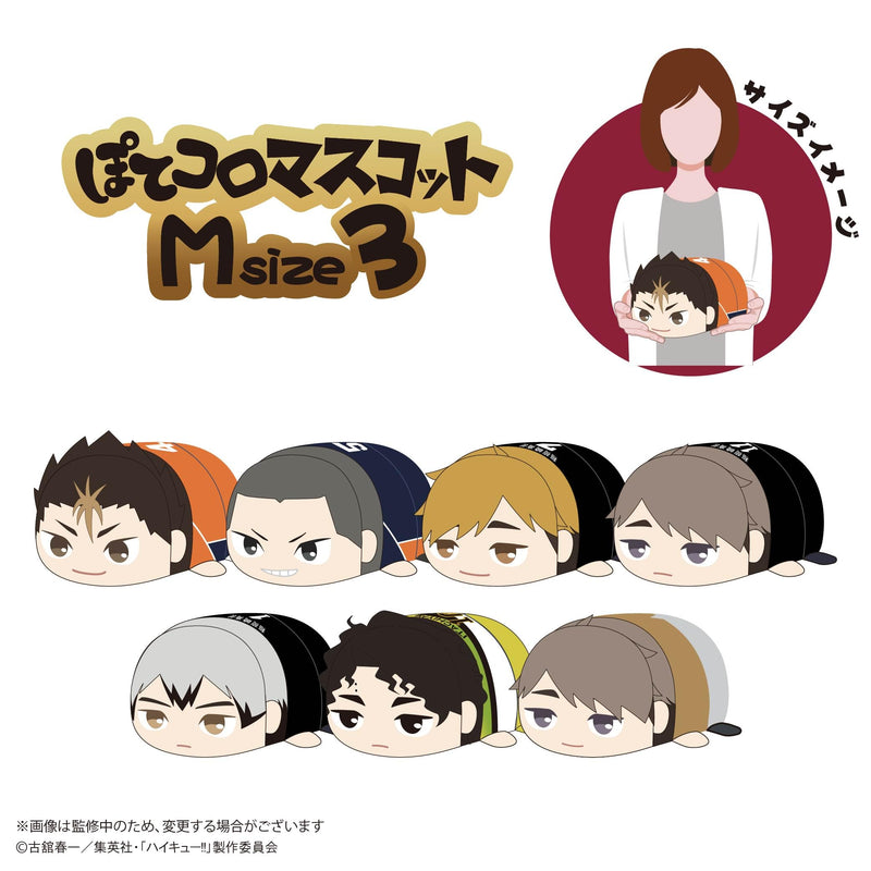 HQ-87 "Haikyu!!" Potekoro Mascot (M Size) 3 A Nishinoya Yu