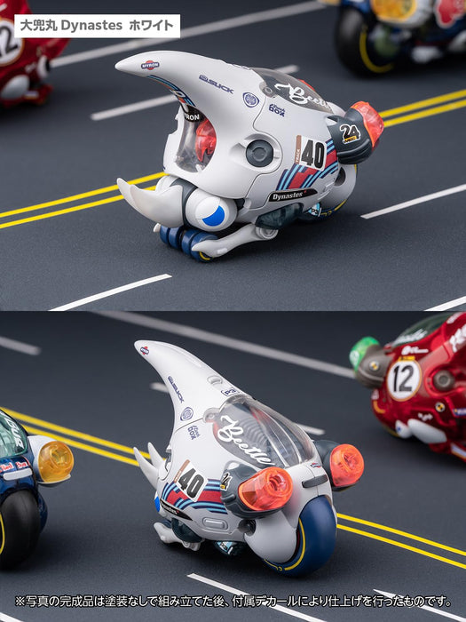 Daikabutomaru Dynastes White