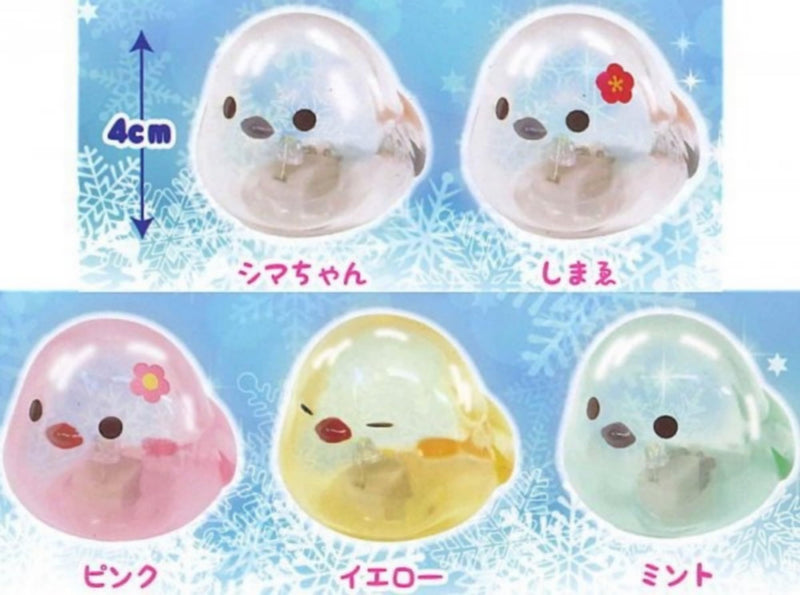 Fuku-Fuku Shimaenaga Clears Light