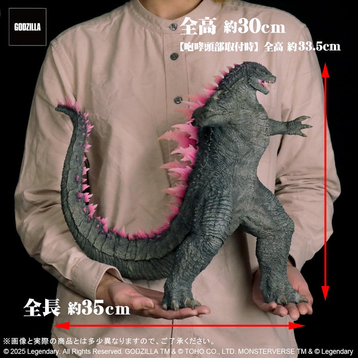 Toho Daikaiju Series "Godzilla x Kong: The New Empire" GODZILLA (2024) EVOLVED Ver. FROM GODZILLA x KONG: THE NEW EMPIRE
