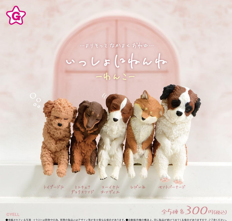 Sleep Together -Wanko-