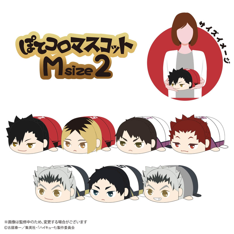 HQ-81 "Haikyu!!" Potekoro Mascot (M Size) 2 H Bokuto Kotaro (School Uniform Ver.)