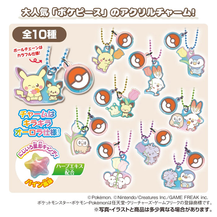 "Pokemon" Pokemon Peaceful Place Twin Charm Rainbow Star