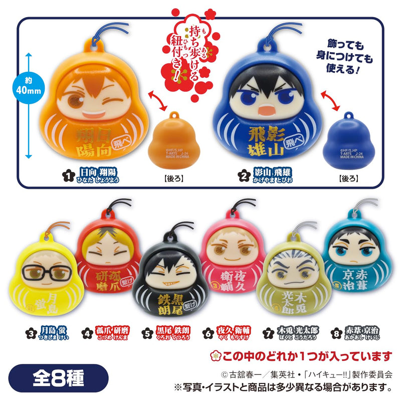 Japagurumi Fig. "Haikyu!!" 2