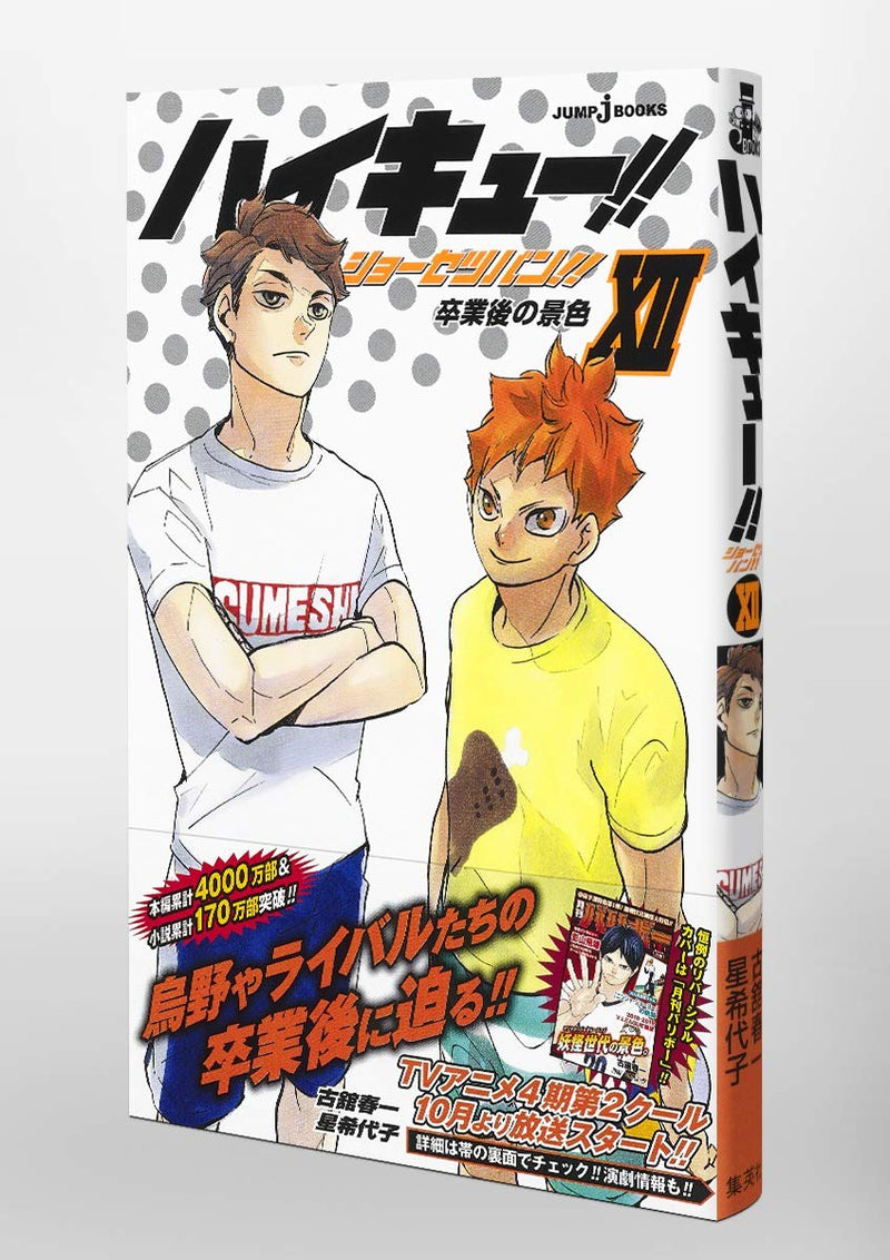 "Haikyu!!" Novel Ver. Vol. 12 Cover: Kageyama (Book)