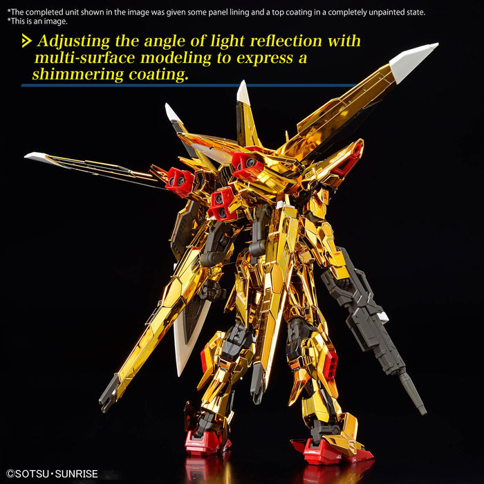 RG 1/144 "Mobile Suit Gundam SEED Destiny" Akatsuki Gundam (Oowashi)