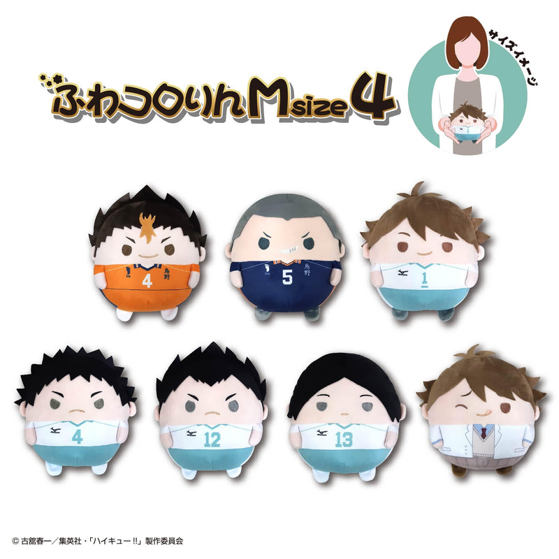 HQ-91 "Haikyu!!" Fuwakororin (M Size) 4 C Oikawa Toru