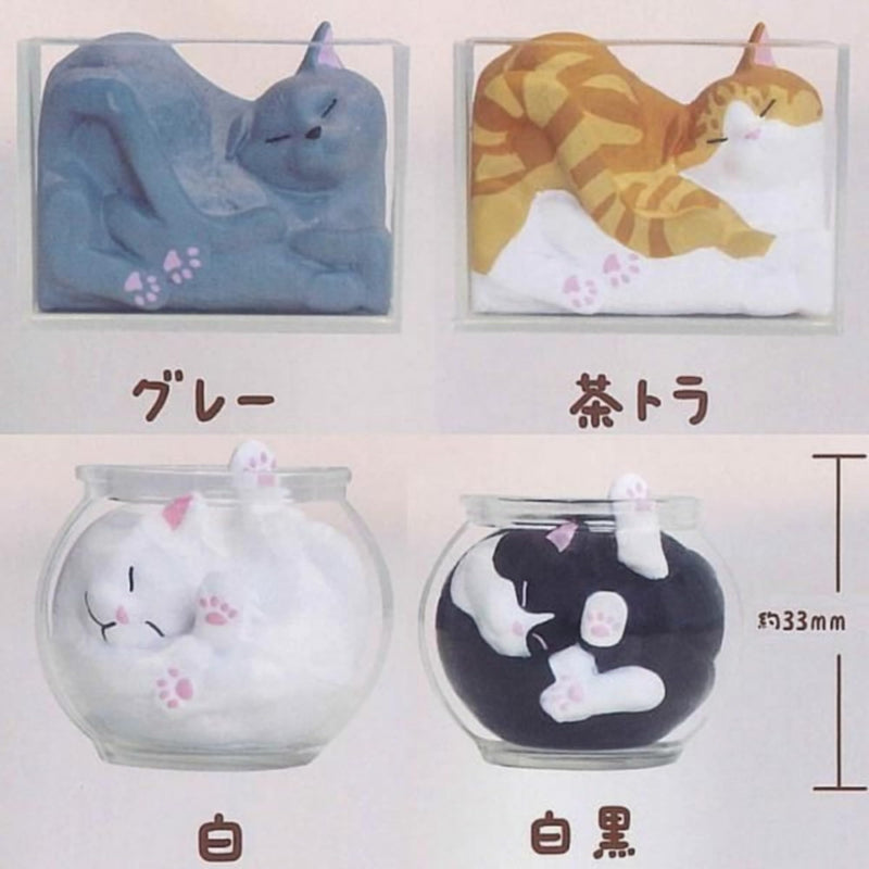 Liquid Cat