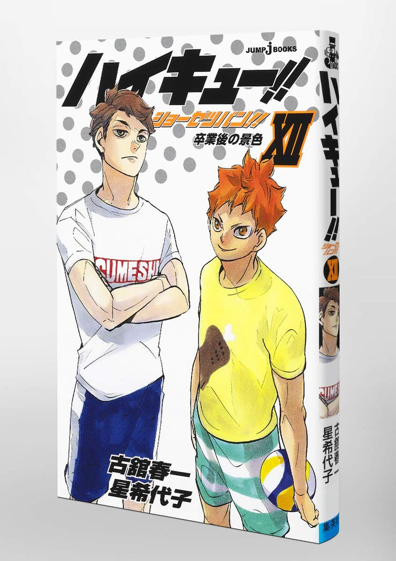 "Haikyu!!" Novel Ver. Vol. 12 Cover: Kageyama (Book)