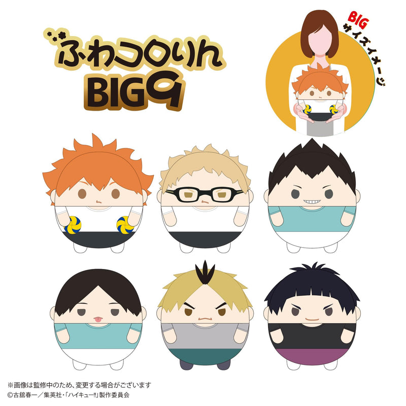 HQ-72 "Haikyu!!" Fuwakororin Big 9 B Tsukishima Kei