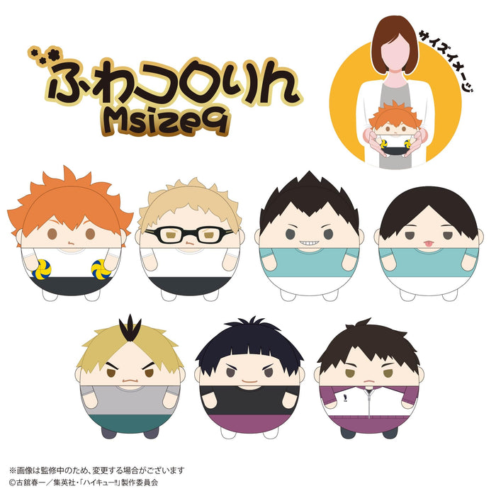 HQ-71 "Haikyu!!" Fuwakororin (M Size) 9 F Goshiki Tsutomu