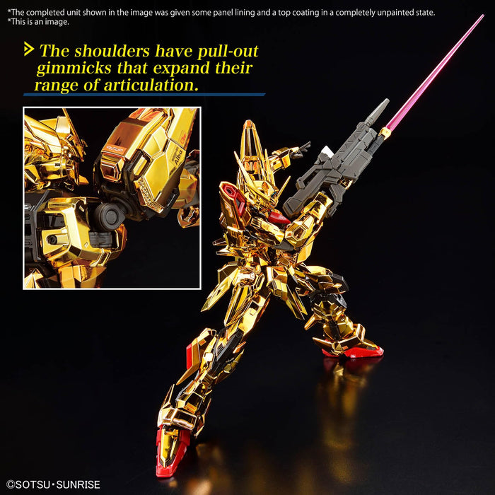RG 1/144 "Mobile Suit Gundam SEED Destiny" Akatsuki Gundam (Oowashi)