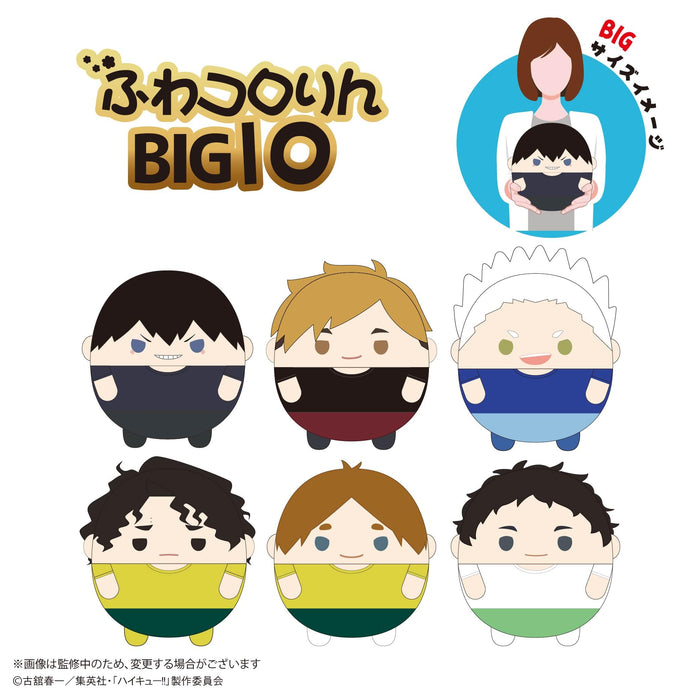 HQ-80 "Haikyu!!" Fuwakororin Big 10 D Sakusa Kiyoomi