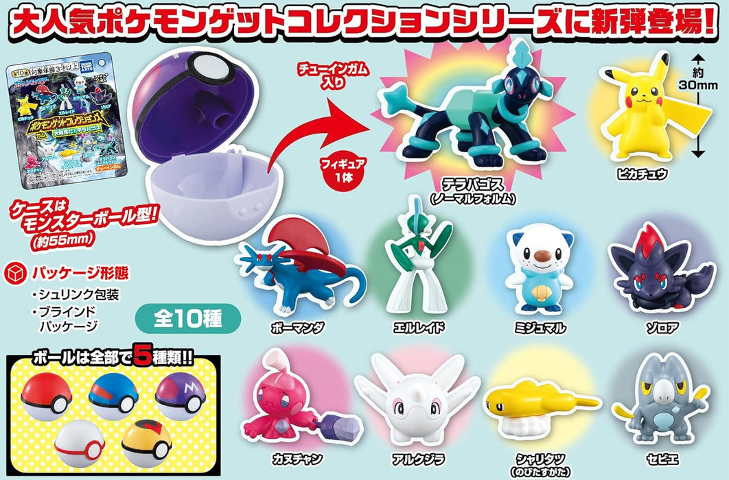 Pokémon Get Collections Big Discovery! Terapagos 1Box 10pcs Shokugan/Gum
