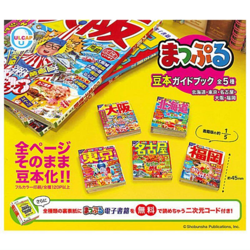 MAPPLE Miniature Guide Book