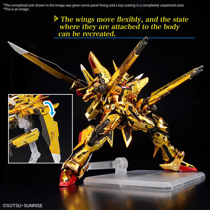 RG 1/144 "Mobile Suit Gundam SEED Destiny" Akatsuki Gundam (Oowashi)