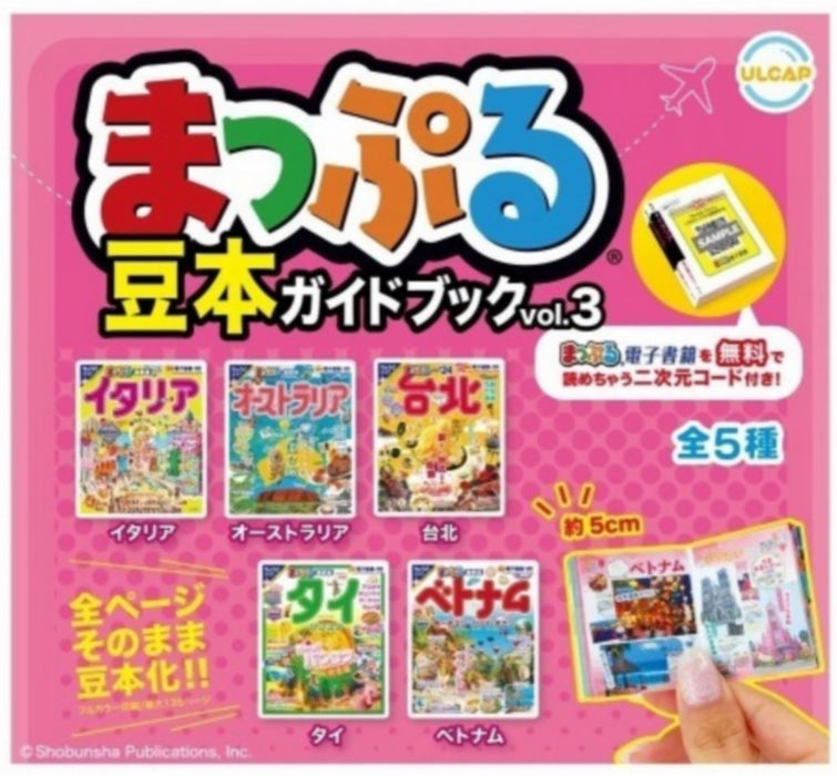 MAPPLE Miniature Guide Book Vol. 3