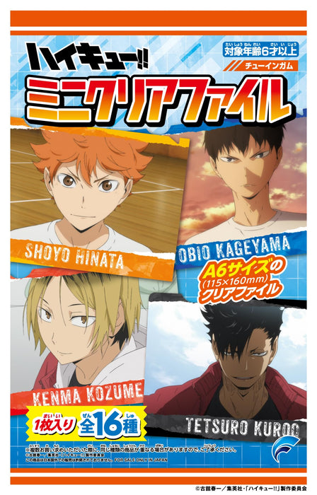 "Haikyu!!" Mini Clear File