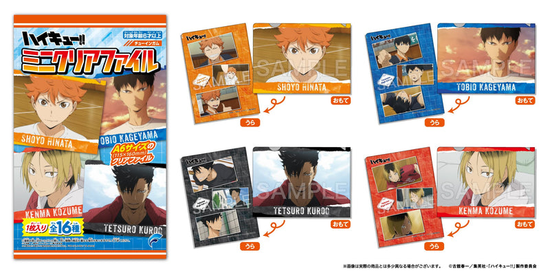 "Haikyu!!" Mini Clear File