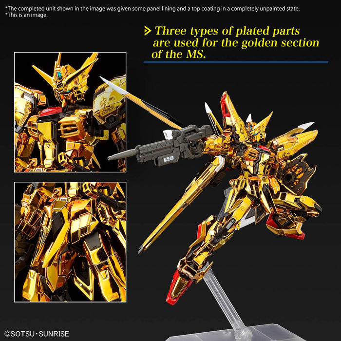 RG 1/144 "Mobile Suit Gundam SEED Destiny" Akatsuki Gundam (Oowashi)