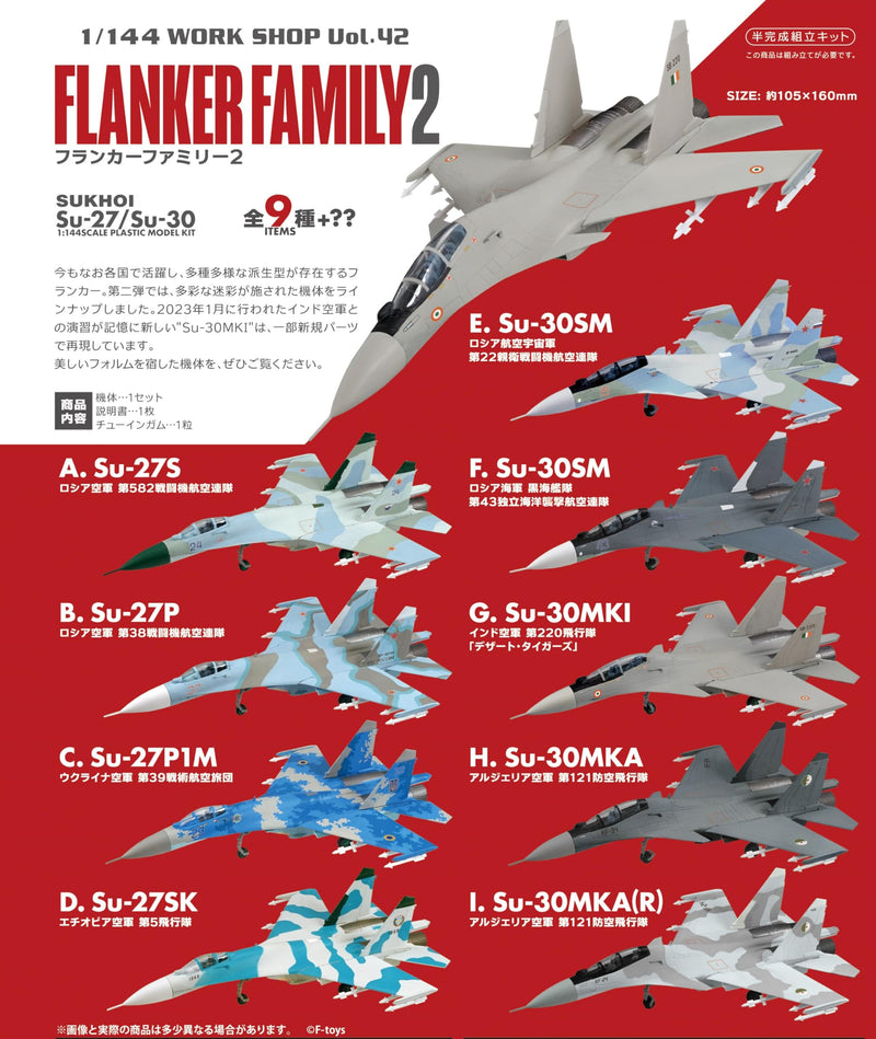 1/144 Flanker Family 2