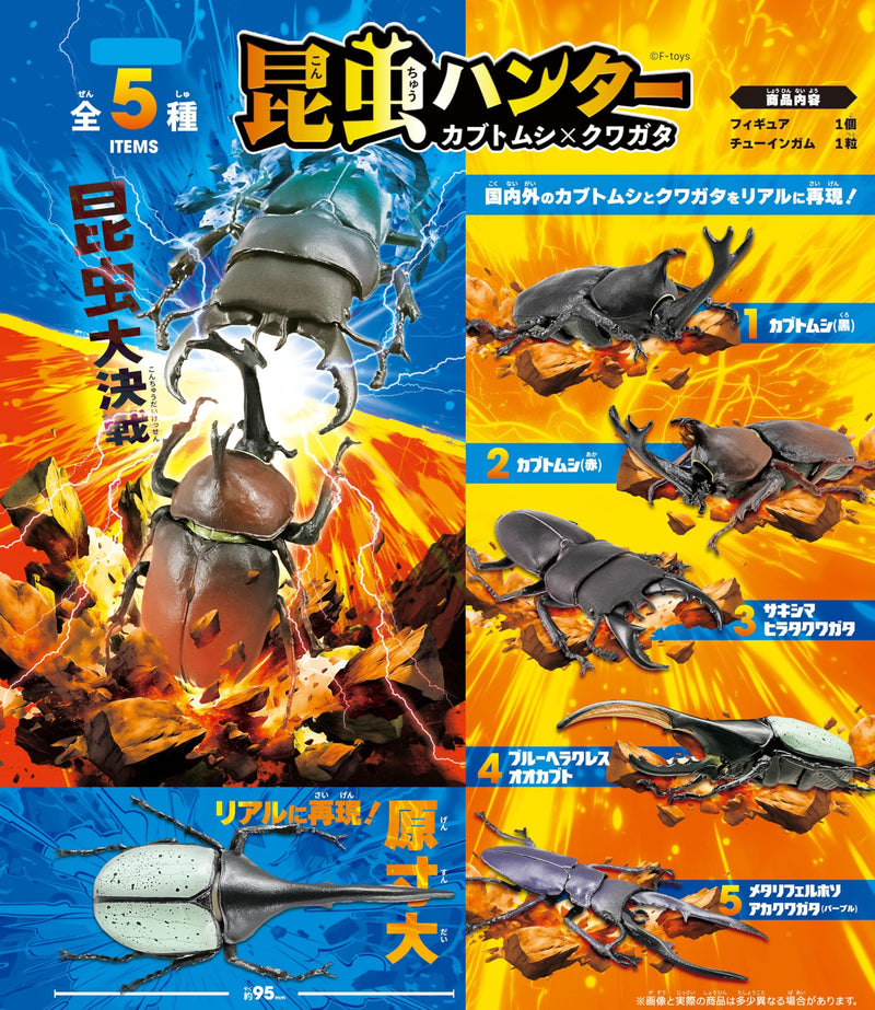 Beetle & Stag Beetle Hunter Kabutomushi x Kuwagata (June, 2025 Edition)