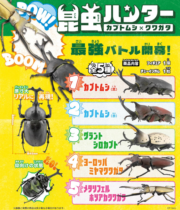 Beetle Hunter 2024