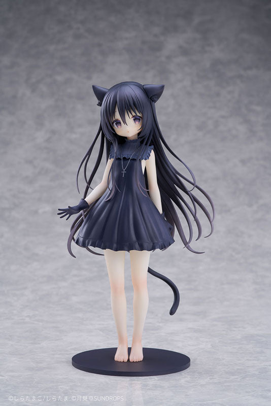 "Hoshizora Tetsudou to Shiro no Tabi" Noir