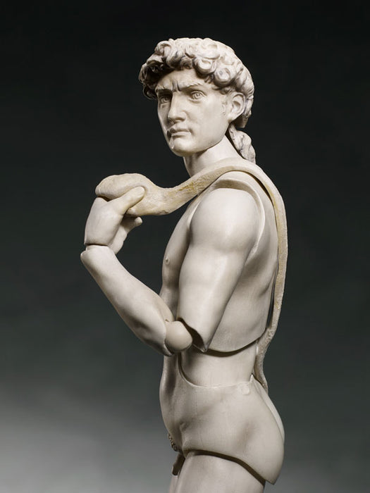 figma The Table Museum Davide di Michelangelo