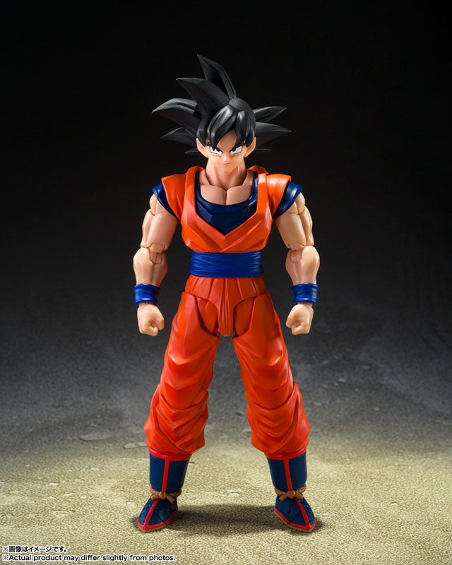 S.H.Figuarts 