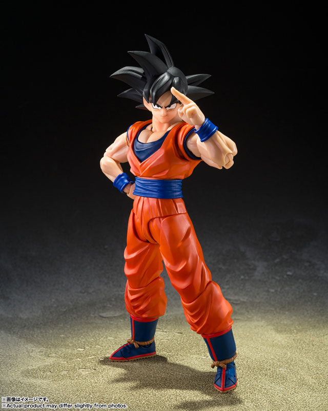 S.H.Figuarts 