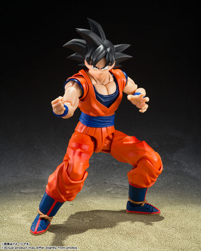 S.H.Figuarts 