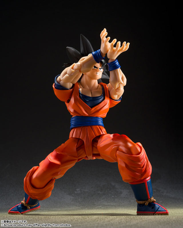 S.H.Figuarts 