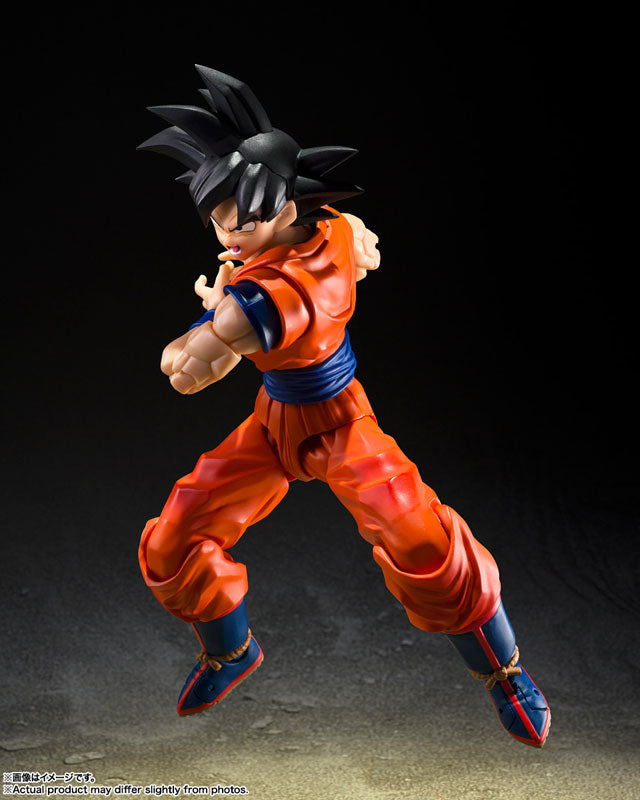 S.H.Figuarts 