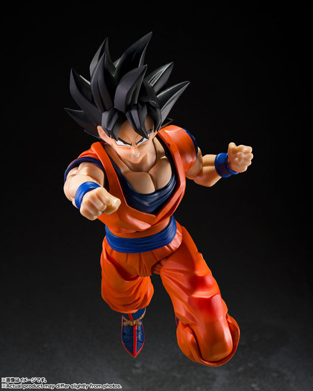 S.H.Figuarts 