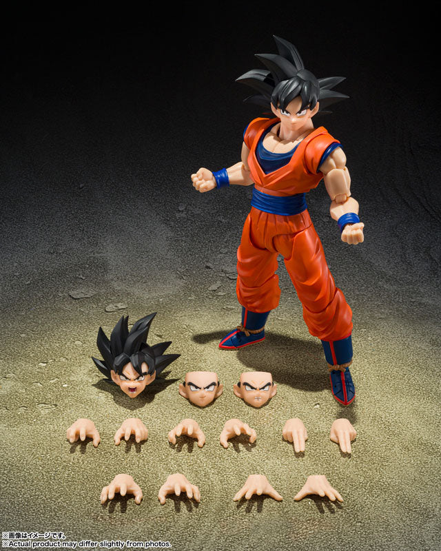 S.H.Figuarts 