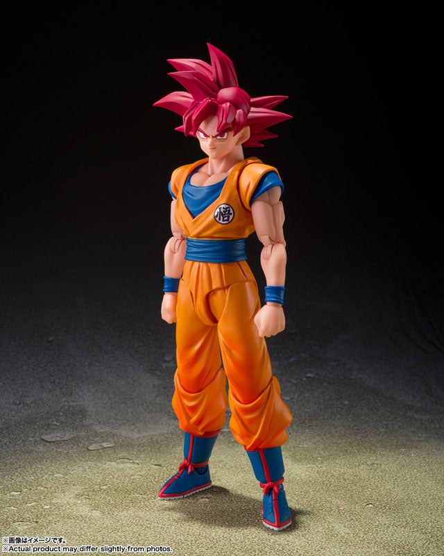 S.H.Figuarts 