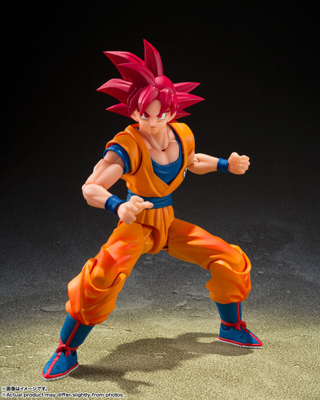S.H.Figuarts 