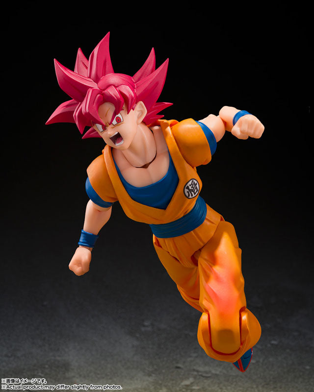 S.H.Figuarts 