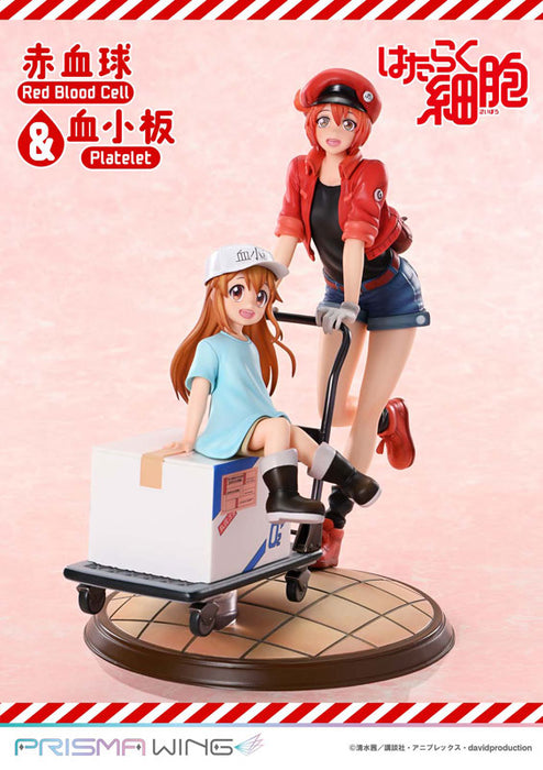 PRISMA WING "Cells at Work" Red Blood Cell & Platelet Non Scale Figure