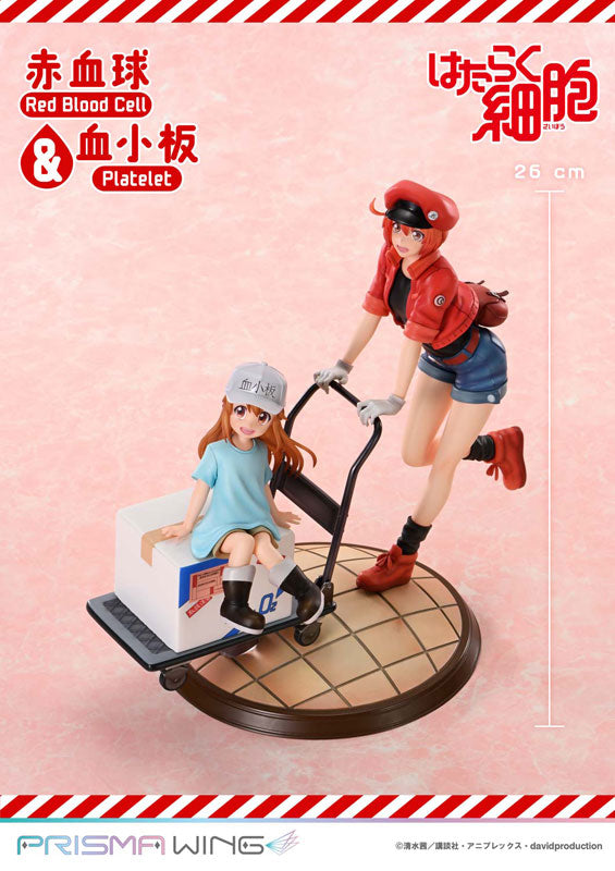 PRISMA WING "Cells at Work" Red Blood Cell & Platelet Non Scale Figure