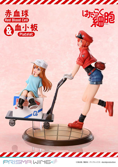 PRISMA WING "Cells at Work" Red Blood Cell & Platelet Non Scale Figure
