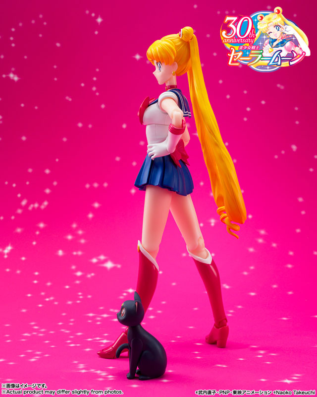 S.H.Figuarts 