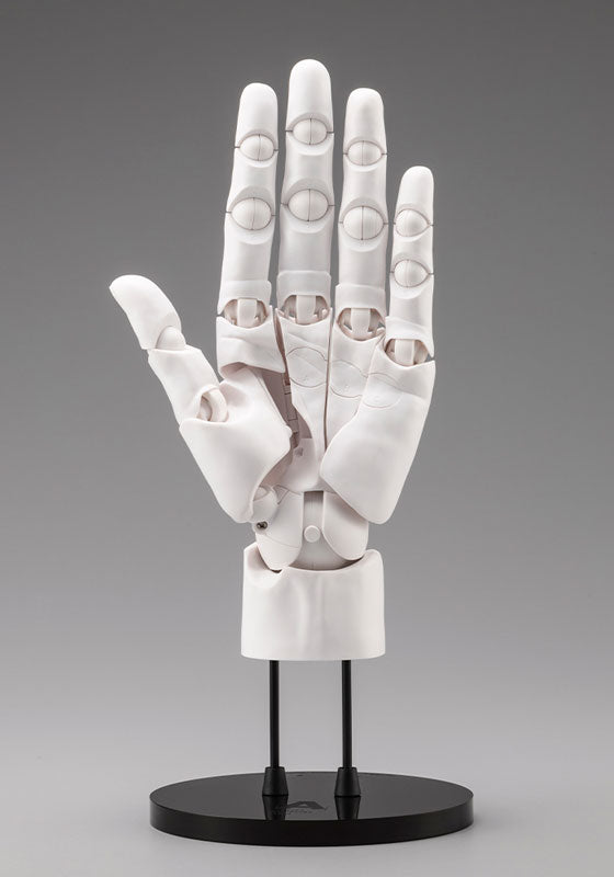 Artist Support Item Hand Model Men's/L -White-
